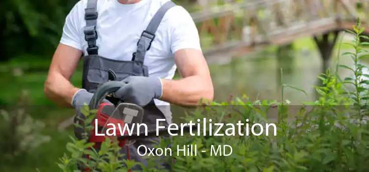 Lawn Fertilization Oxon Hill - MD
