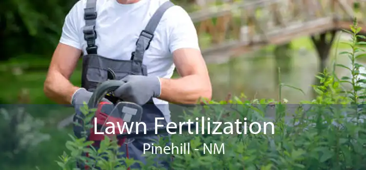Lawn Fertilization Pinehill - NM