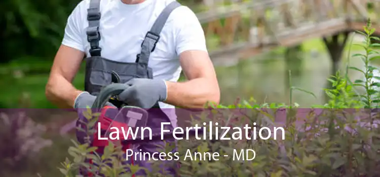 Lawn Fertilization Princess Anne - MD
