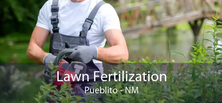 Lawn Fertilization Pueblito - NM