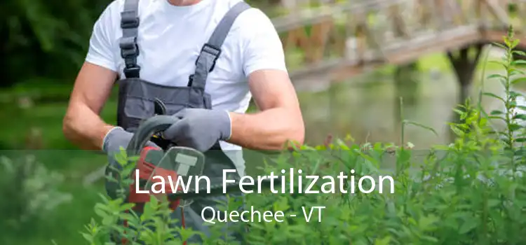 Lawn Fertilization Quechee - VT