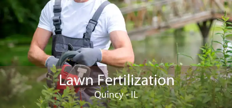 Lawn Fertilization Quincy - IL
