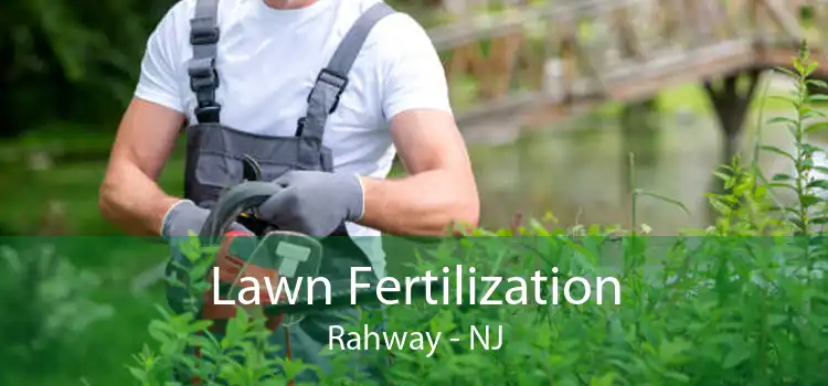 Lawn Fertilization Rahway - NJ
