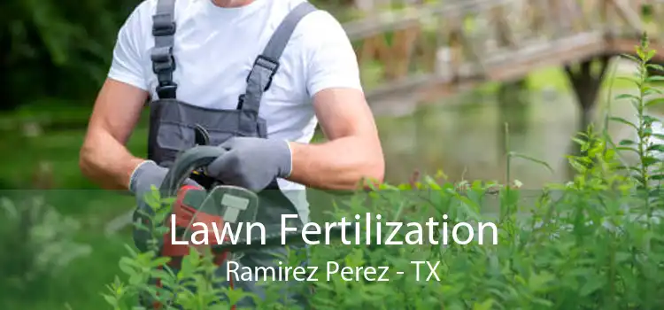 Lawn Fertilization Ramirez Perez - TX