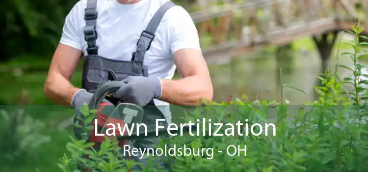 Lawn Fertilization Reynoldsburg - OH
