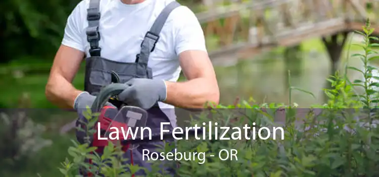Lawn Fertilization Roseburg - OR