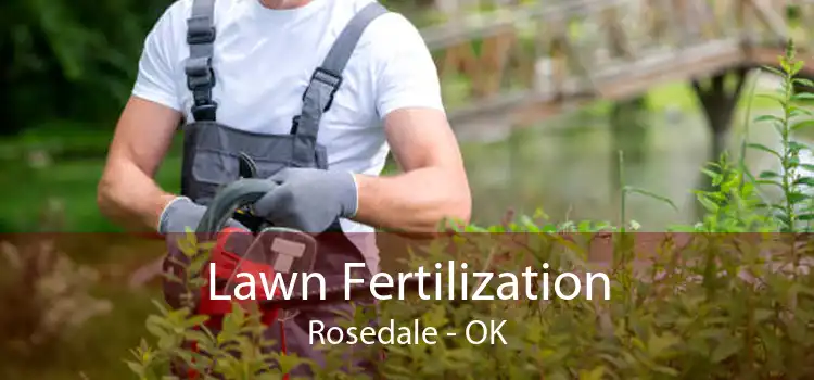 Lawn Fertilization Rosedale - OK