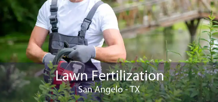 Lawn Fertilization San Angelo - TX