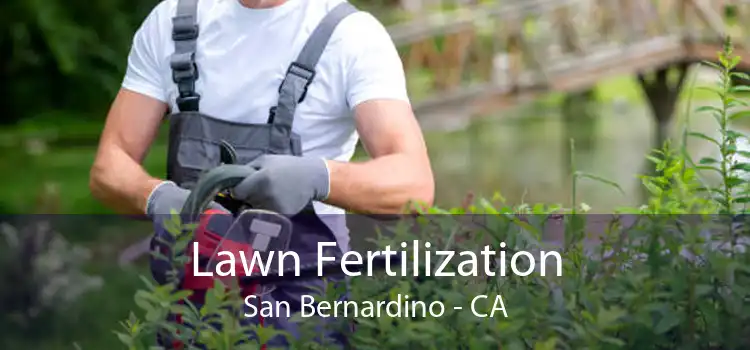 Lawn Fertilization San Bernardino - CA