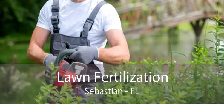 Lawn Fertilization Sebastian - FL
