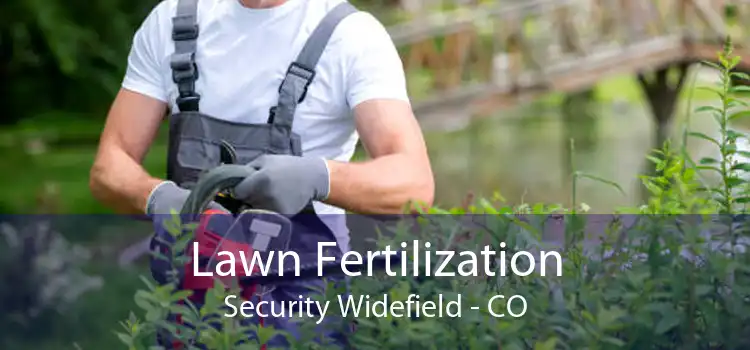 Lawn Fertilization Security Widefield - CO