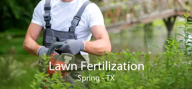 Lawn Fertilization Spring - TX