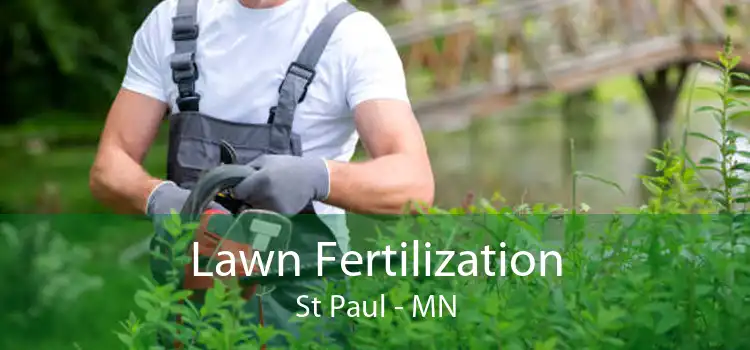 Lawn Fertilization St Paul - MN