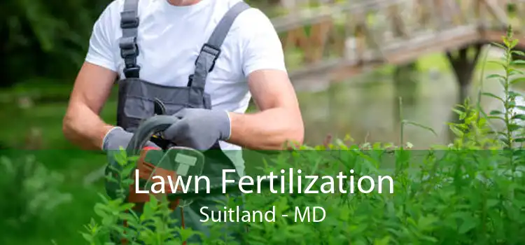 Lawn Fertilization Suitland - MD