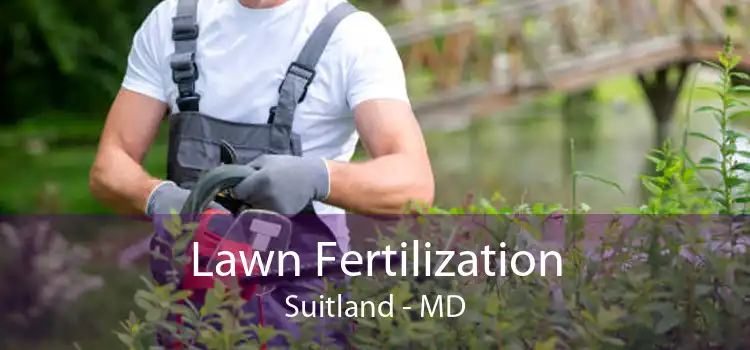  Lawn Fertilization Suitland - MD