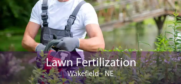 Lawn Fertilization Wakefield - NE