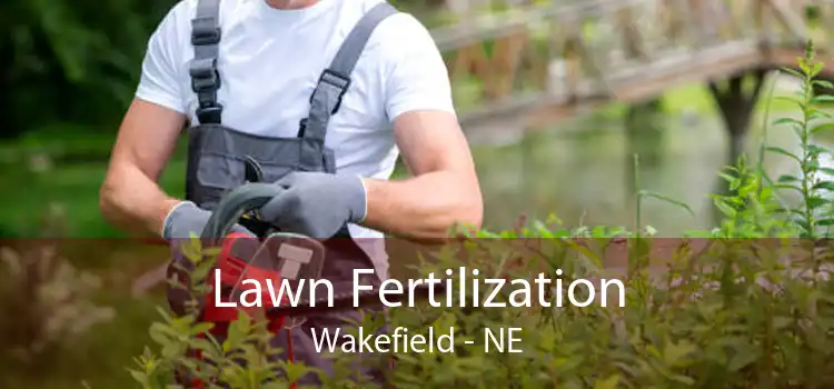  Lawn Fertilization Wakefield - NE