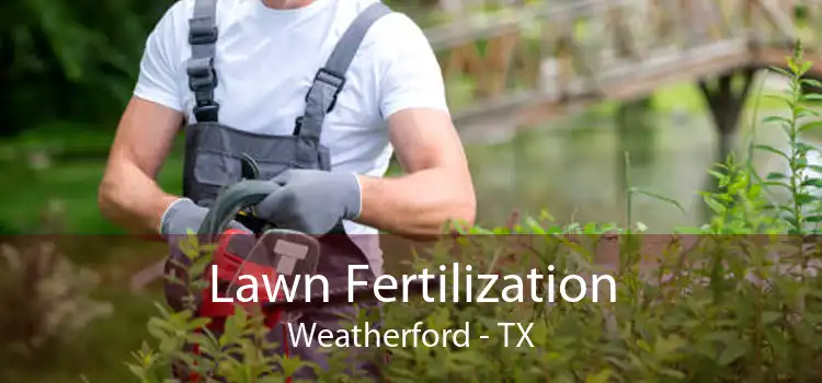Lawn Fertilization Weatherford - TX