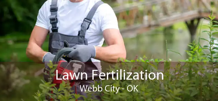 Lawn Fertilization Webb City - OK