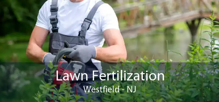  Lawn Fertilization Westfield - NJ