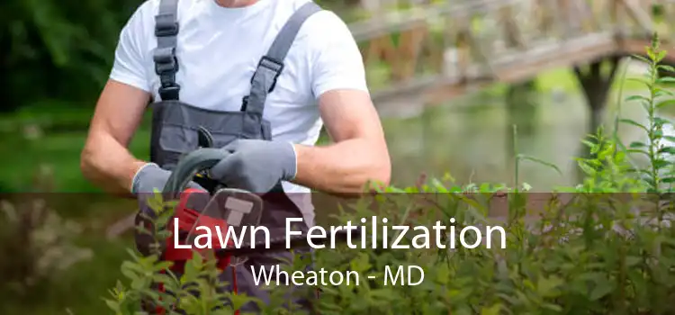 Lawn Fertilization Wheaton - MD