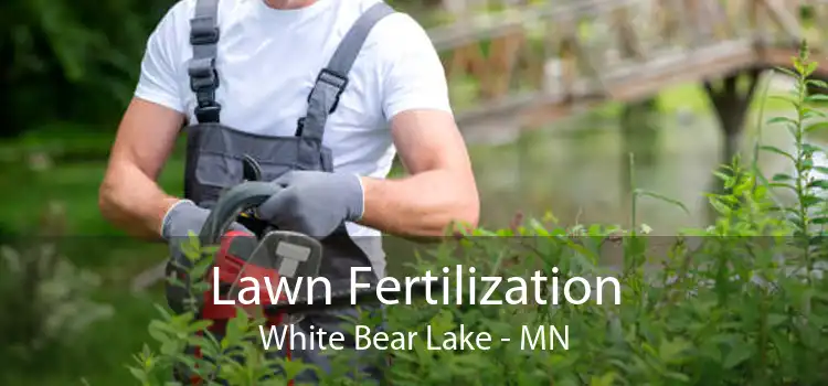 Lawn Fertilization White Bear Lake - MN
