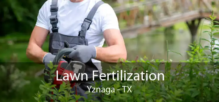 Lawn Fertilization Yznaga - TX