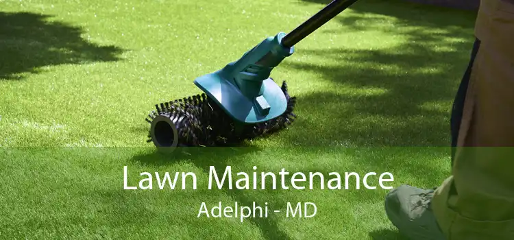 Lawn Maintenance Adelphi - MD