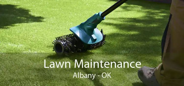 Lawn Maintenance Albany - OK