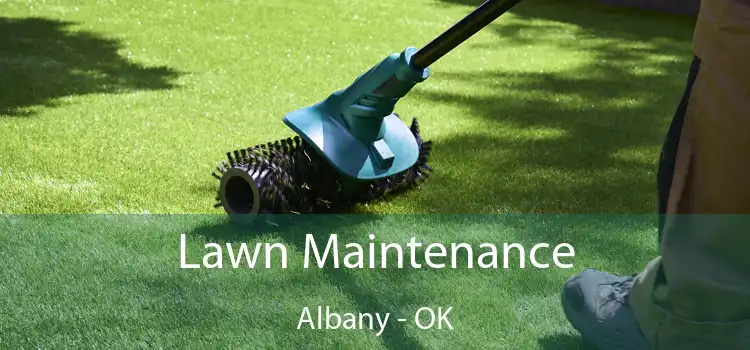 Lawn Maintenance Albany - OK