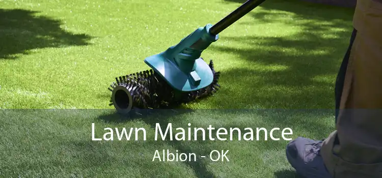 Lawn Maintenance Albion - OK