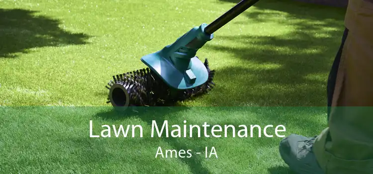 Lawn Maintenance Ames - IA