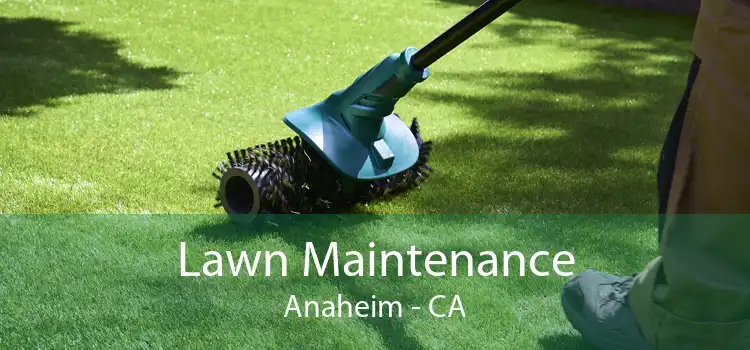 Lawn Maintenance Anaheim - CA