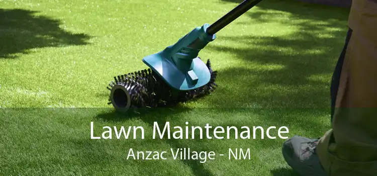 Lawn Maintenance Anzac Village - NM