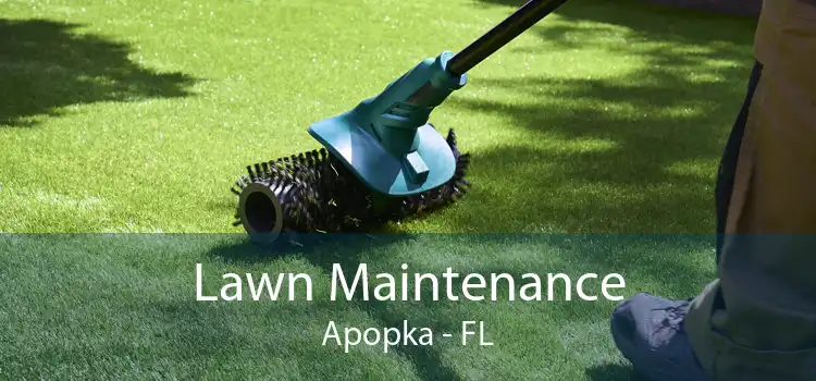 Lawn Maintenance Apopka - FL