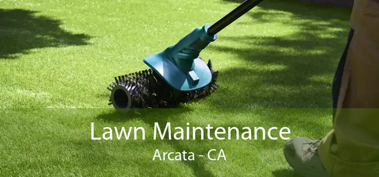 Lawn Maintenance Arcata - CA