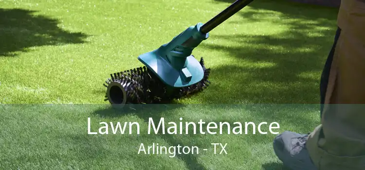 Lawn Maintenance Arlington - TX