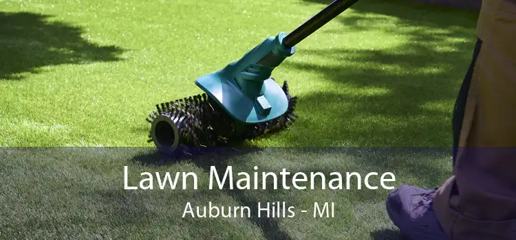 Lawn Maintenance Auburn Hills - MI