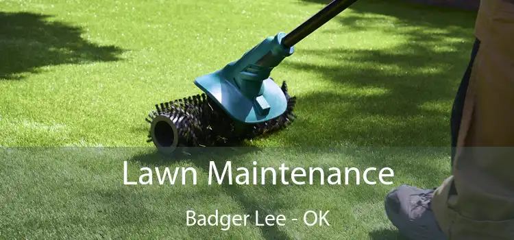 Lawn Maintenance Badger Lee - OK