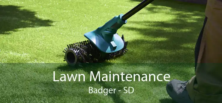 Lawn Maintenance Badger - SD