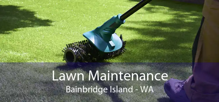 Lawn Maintenance Bainbridge Island - WA
