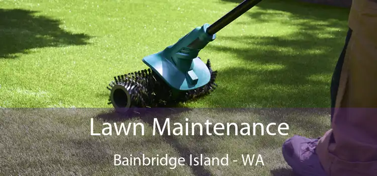 Lawn Maintenance Bainbridge Island - WA