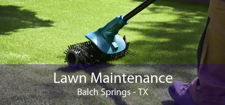 Lawn Maintenance Balch Springs - TX