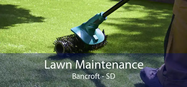 Lawn Maintenance Bancroft - SD