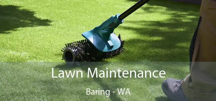 Lawn Maintenance Baring - WA