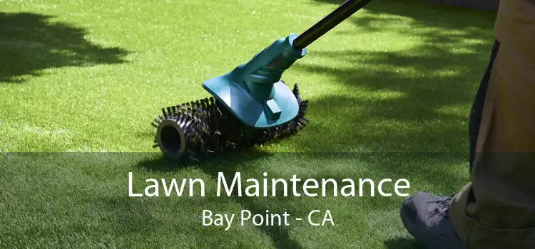 Lawn Maintenance Bay Point - CA