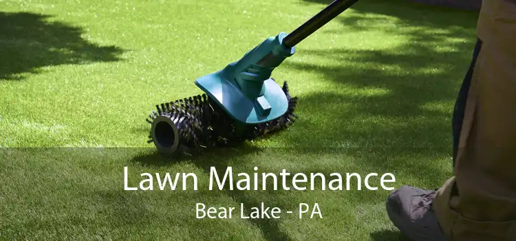 Lawn Maintenance Bear Lake - PA