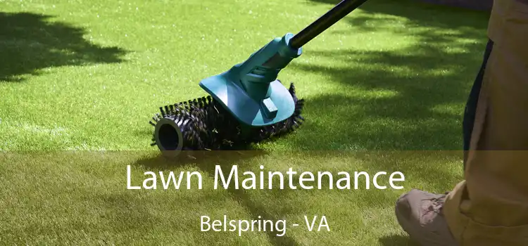 Lawn Maintenance Belspring - VA