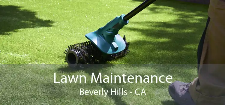 Lawn Maintenance Beverly Hills - CA