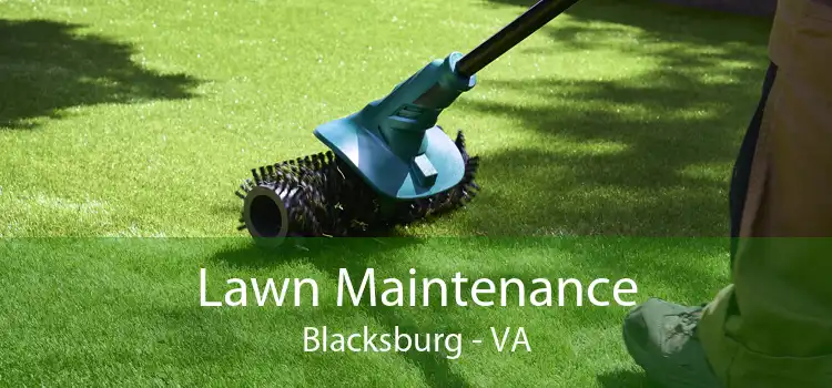 Lawn Maintenance Blacksburg - VA